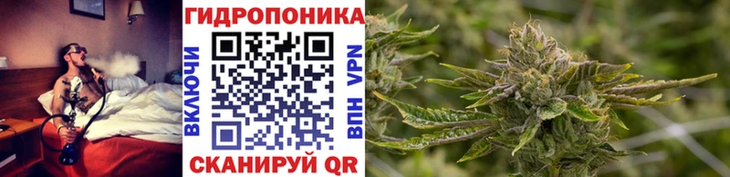 Сколько стоит Прохладный Вейп ТГК  АМФЕТАМИН  ГАШ  Alpha-PVP  Бошки Шишки 
