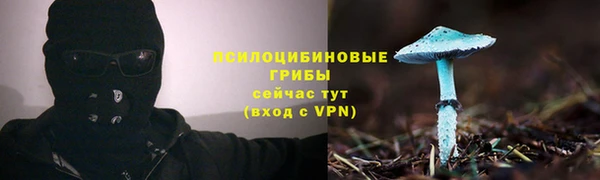 MDMA Premium VHQ Алзамай